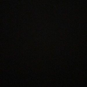 Meet your Posher, Daisy